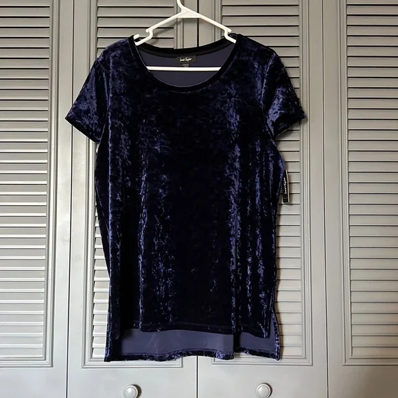 NWT Lord and Taylor : Blue Crushed Velvet Blouse - L - Picture 1 of 9